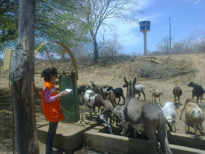 Governo do Estado, através da Secretaria Estadual da Defesa Civil, reforça o combate a estiagem com medidas estruturantes e emergenciais - Imagem 10